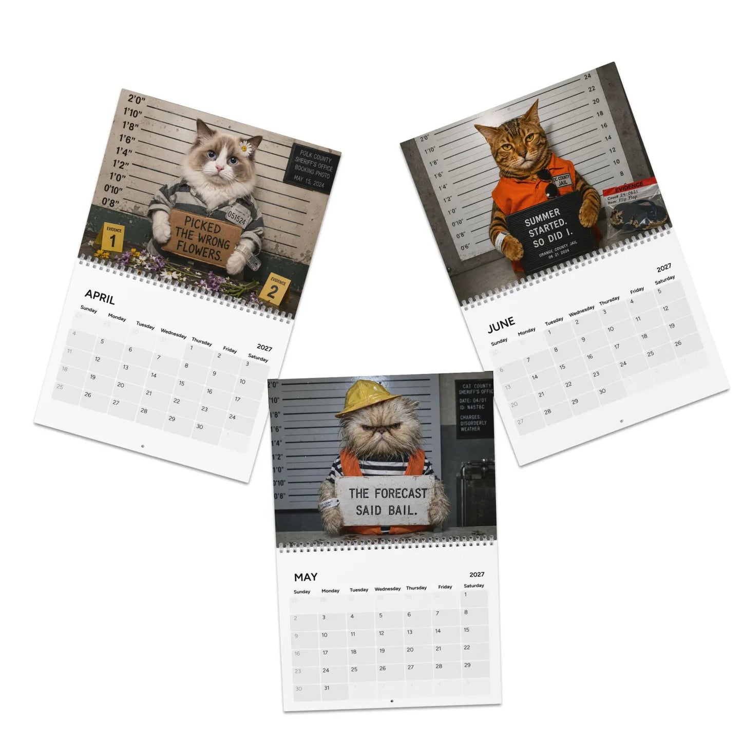 😂Funny Cat Mugshots 2027 Calendar