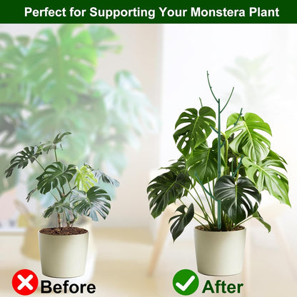 🔥HOT SALE🔥🌱 Adjustable Climbing Plant Stakes – Natural‑Look, Tool‑Free Support for Indoor & Outdoor Vertical Growth