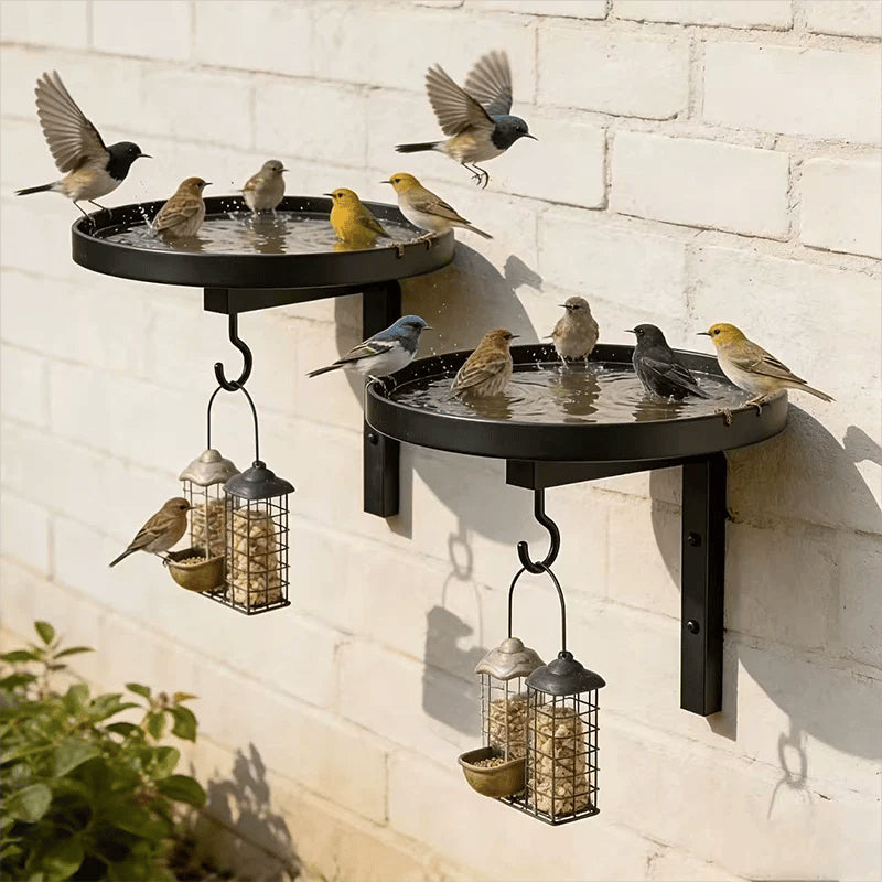 Wall-Mounted Metal Bird Bath – Antique Bronze Finish 🐦🛁🧱🏡