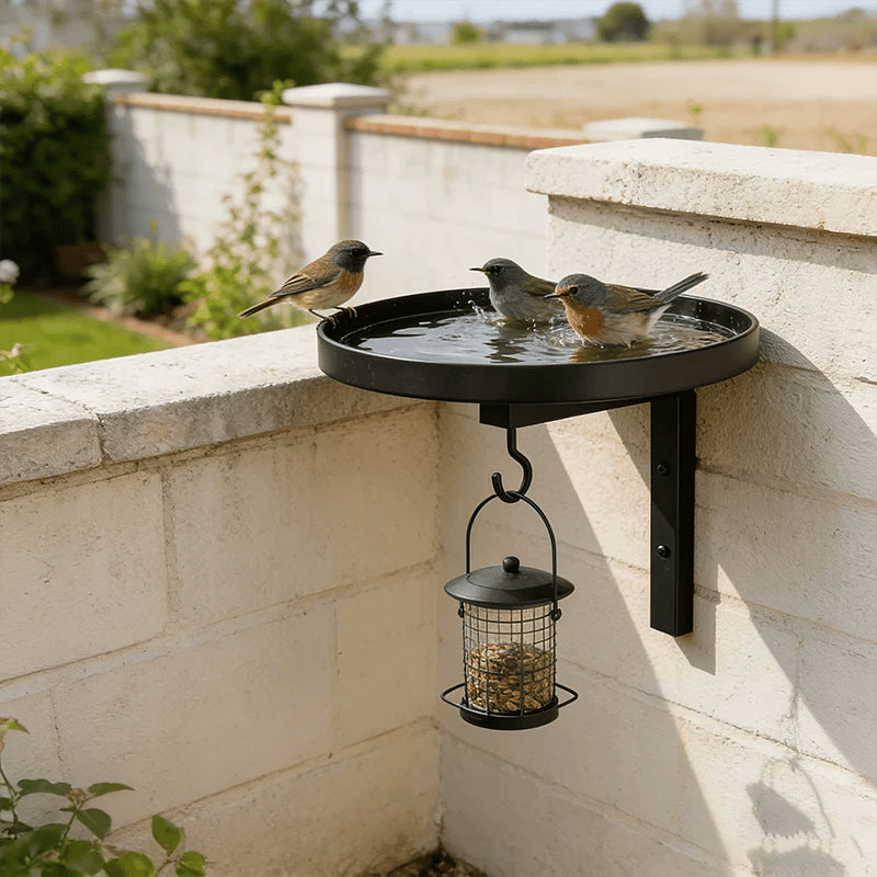 Wall-Mounted Metal Bird Bath – Antique Bronze Finish 🐦🛁🧱🏡